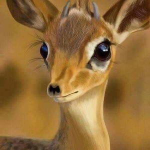 Meet your Posher, Abla